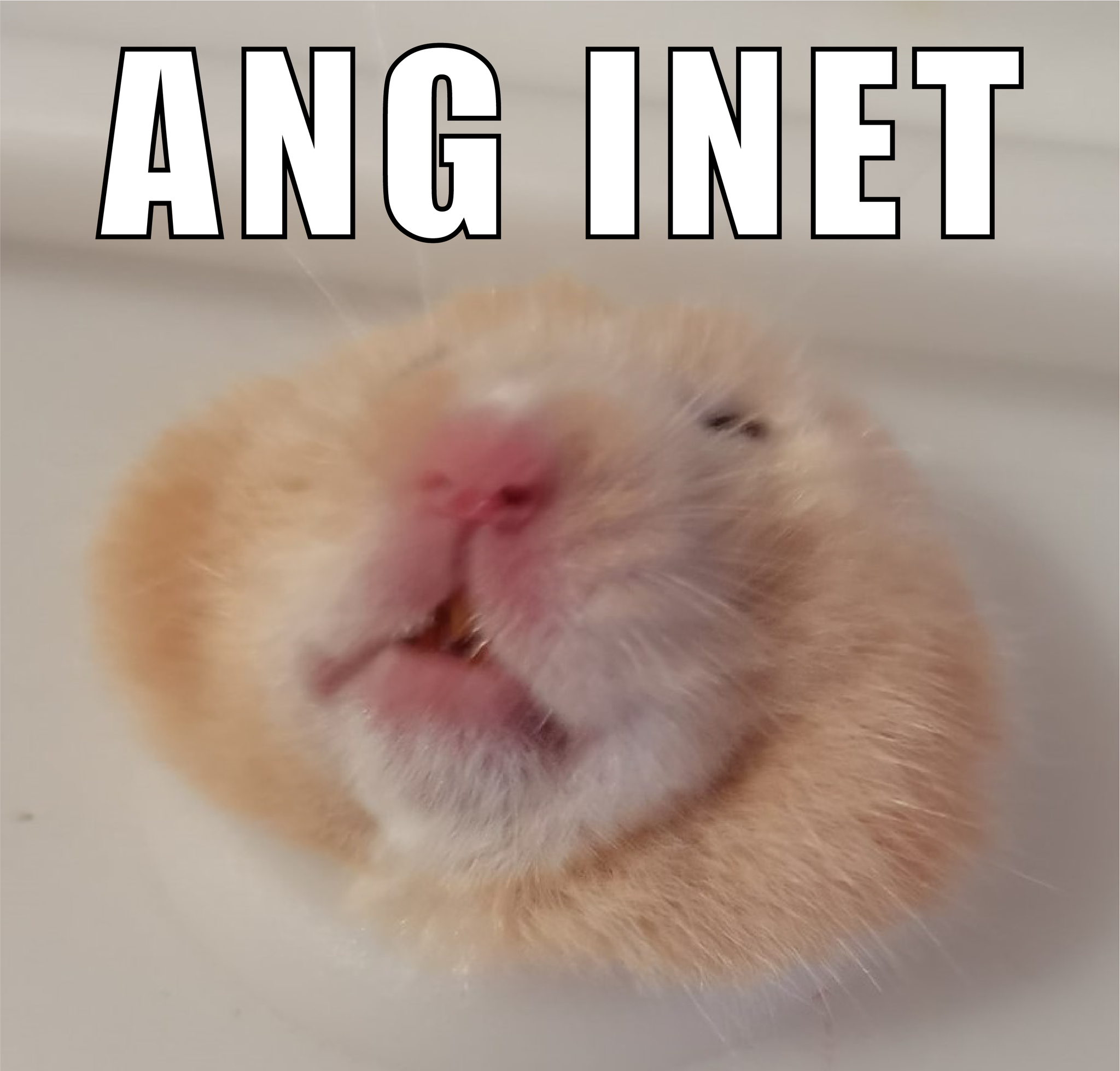 Philippine - Sobrang inet!!! Anong mga pwedeng gawin sa tag-inet? https ...