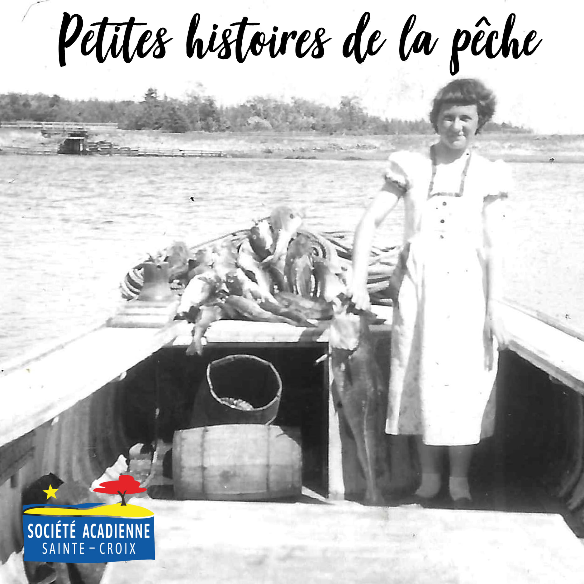 Avez-vous déjà vu... - Société acadienne Sainte-Croix | Facebook