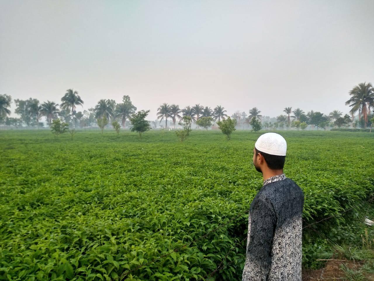 Engr. Ruhul Amin | Panchagarh