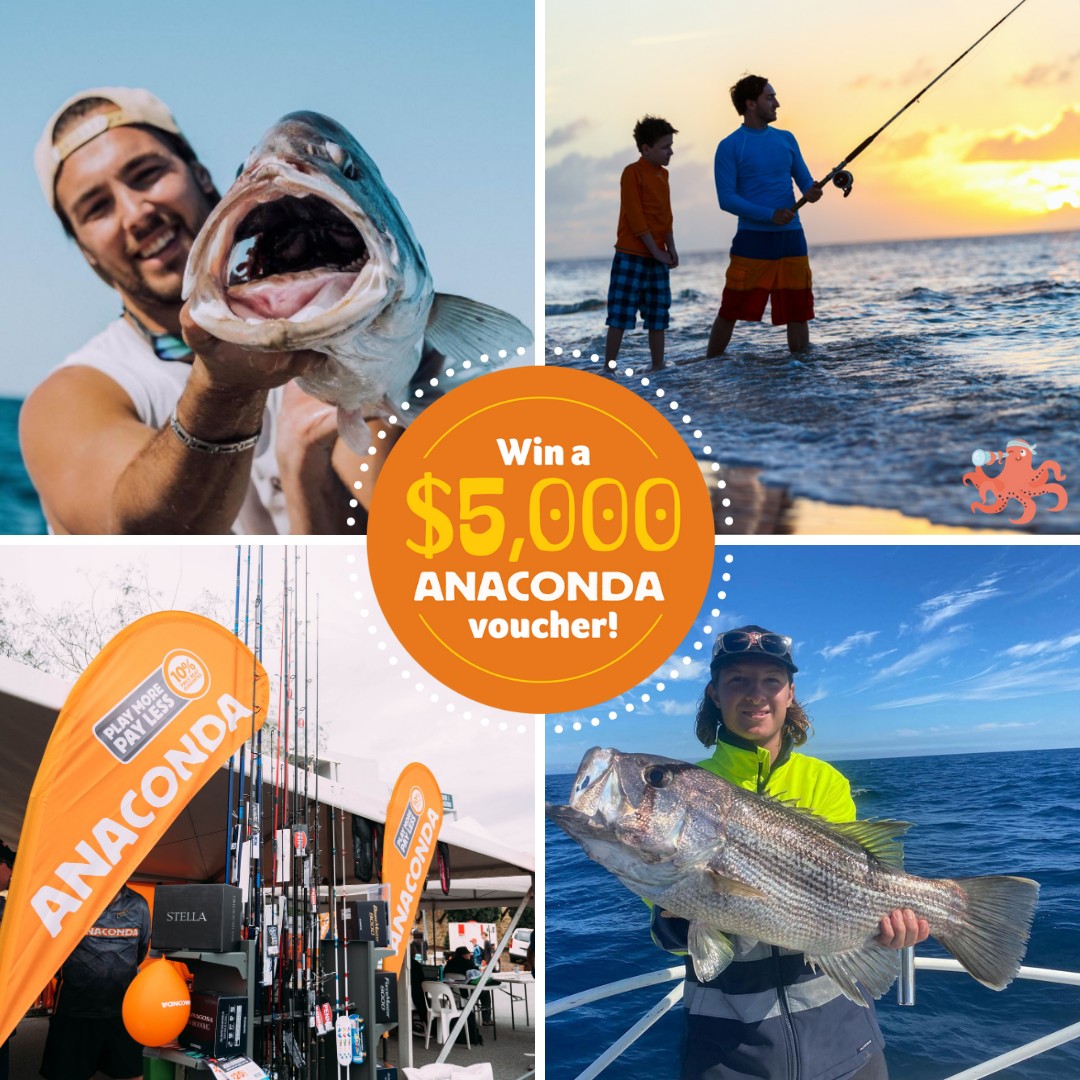 🎣🏆 Attention all fishing enthusiasts!... - Get Reel Two Rocks | Facebook