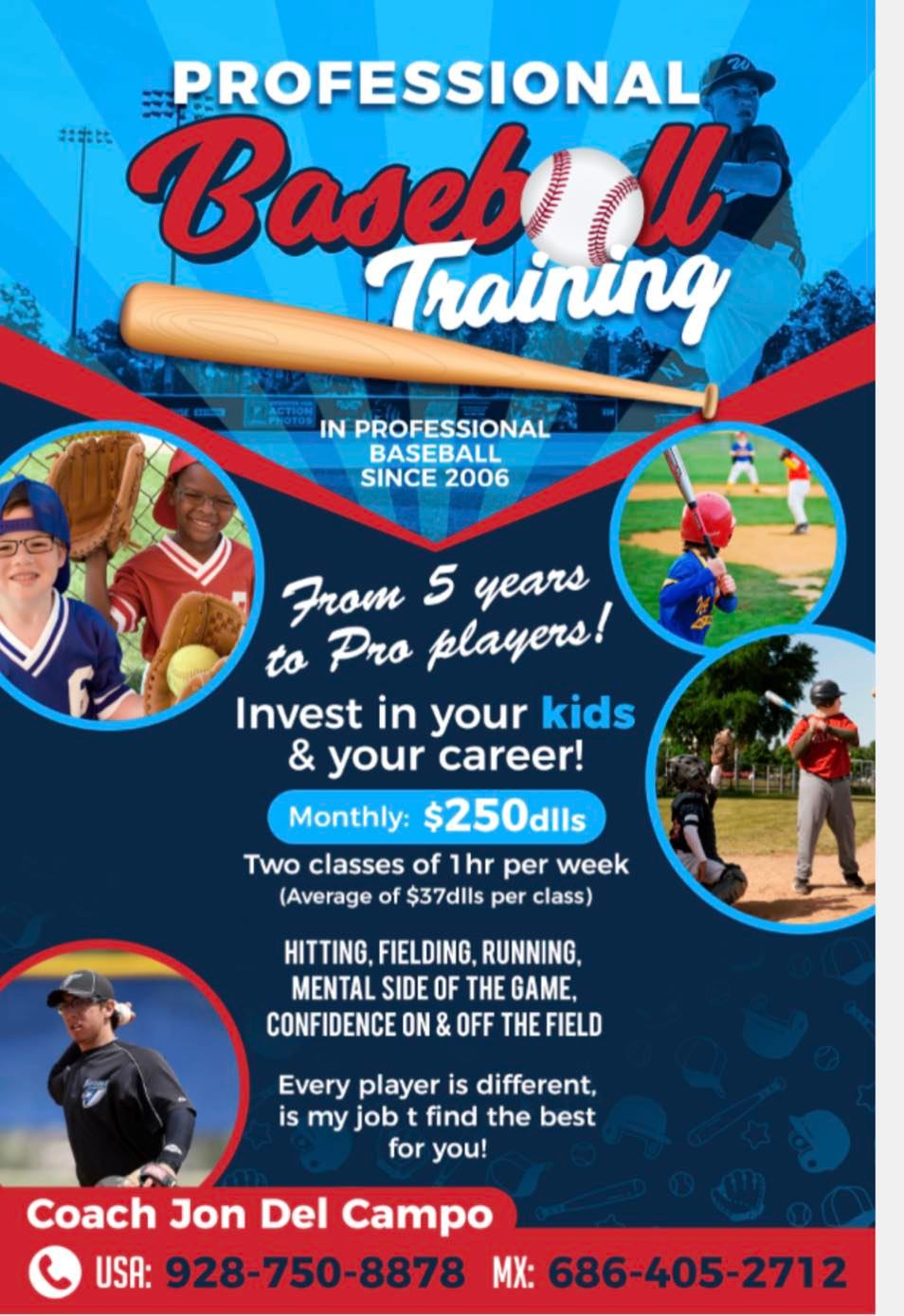 Professional Baseball Training Program