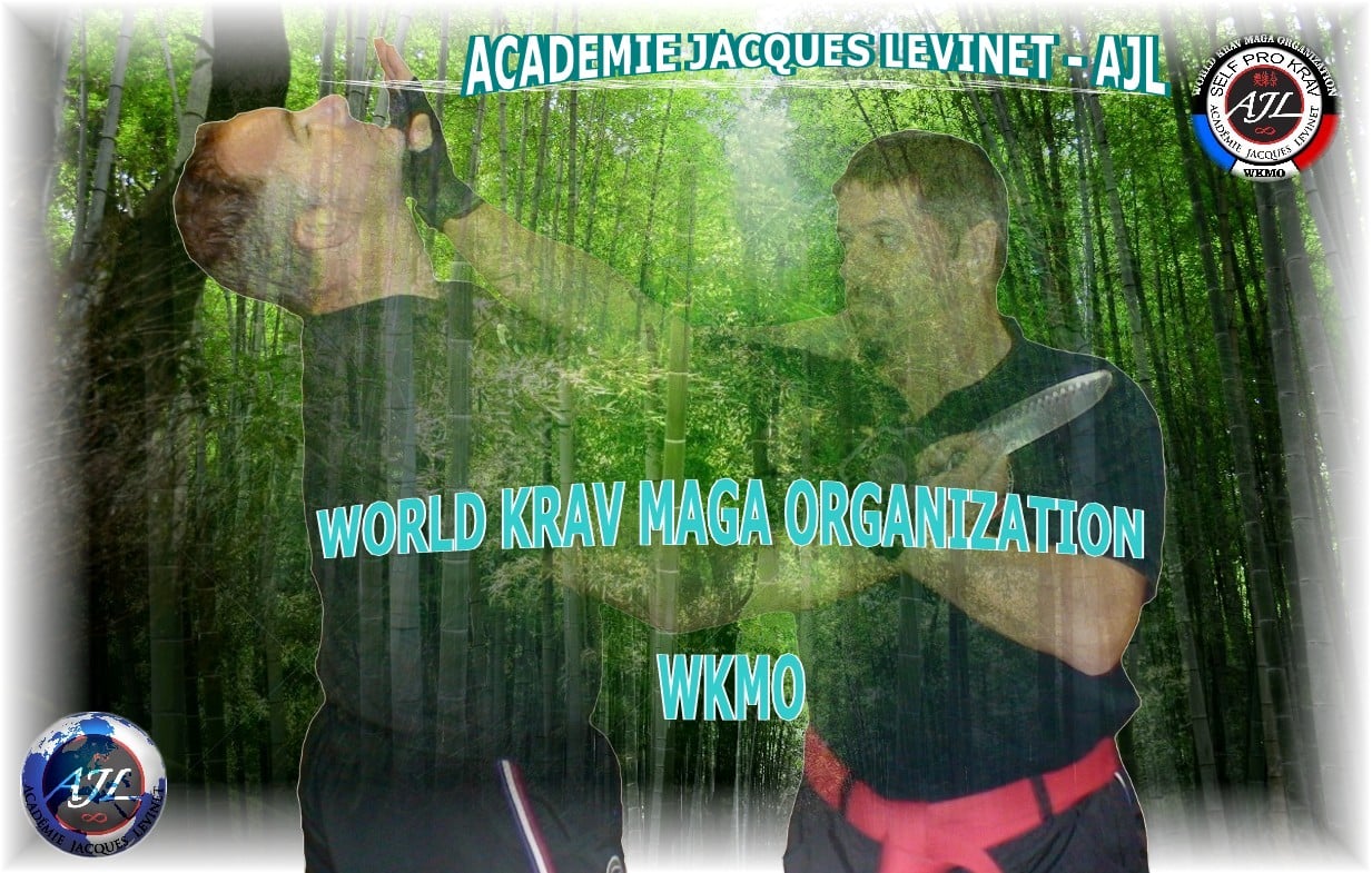 The World Krav Maga... - World Krav Maga Organization - WKMO