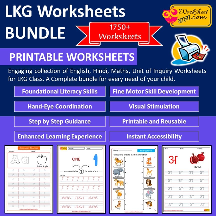 Worksheets - 