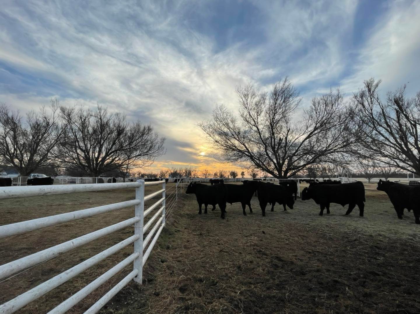 Express Ranches - We look forward to seeing you tomorrow....