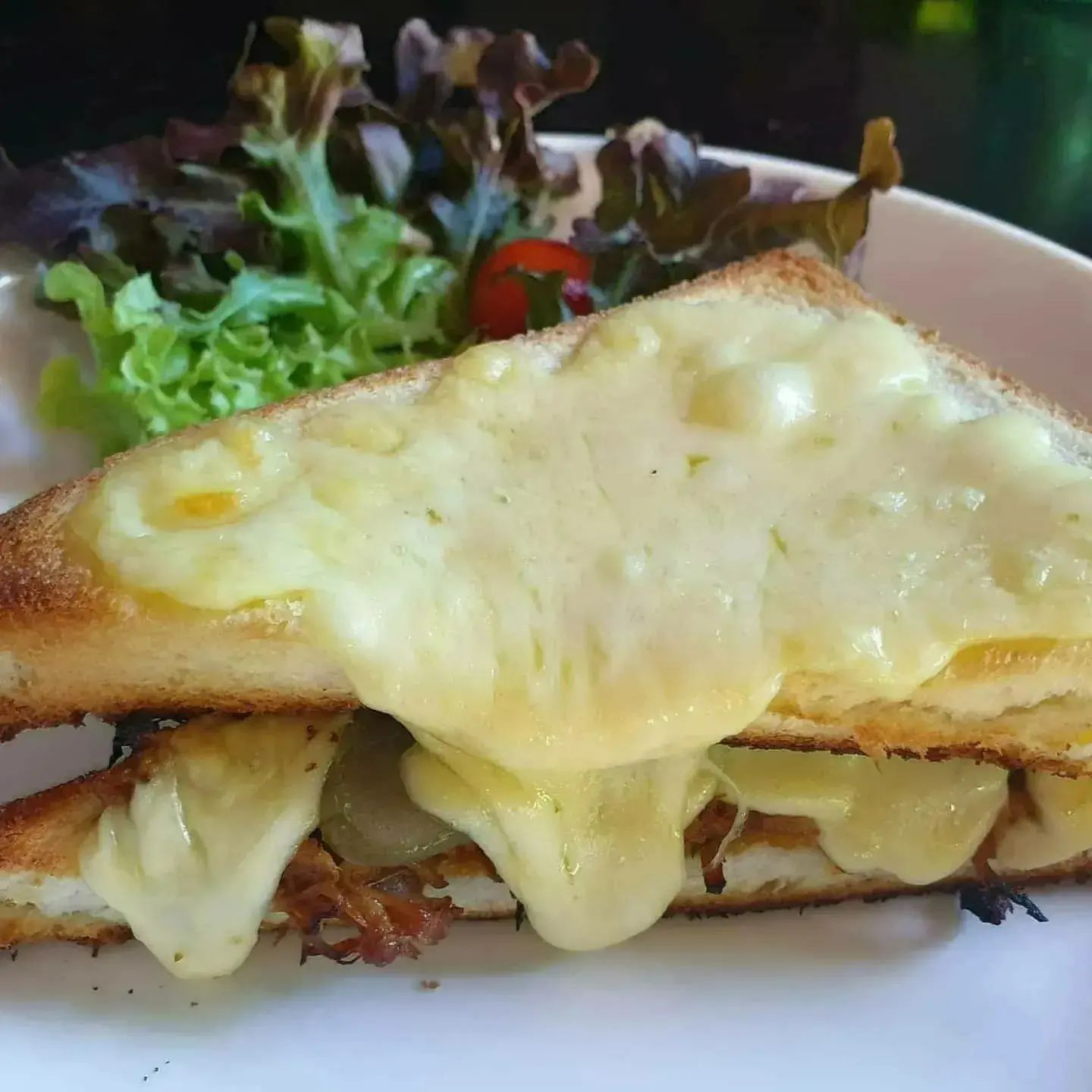 Down the Rabbit Hole, Rangsit | Ban Rangsit