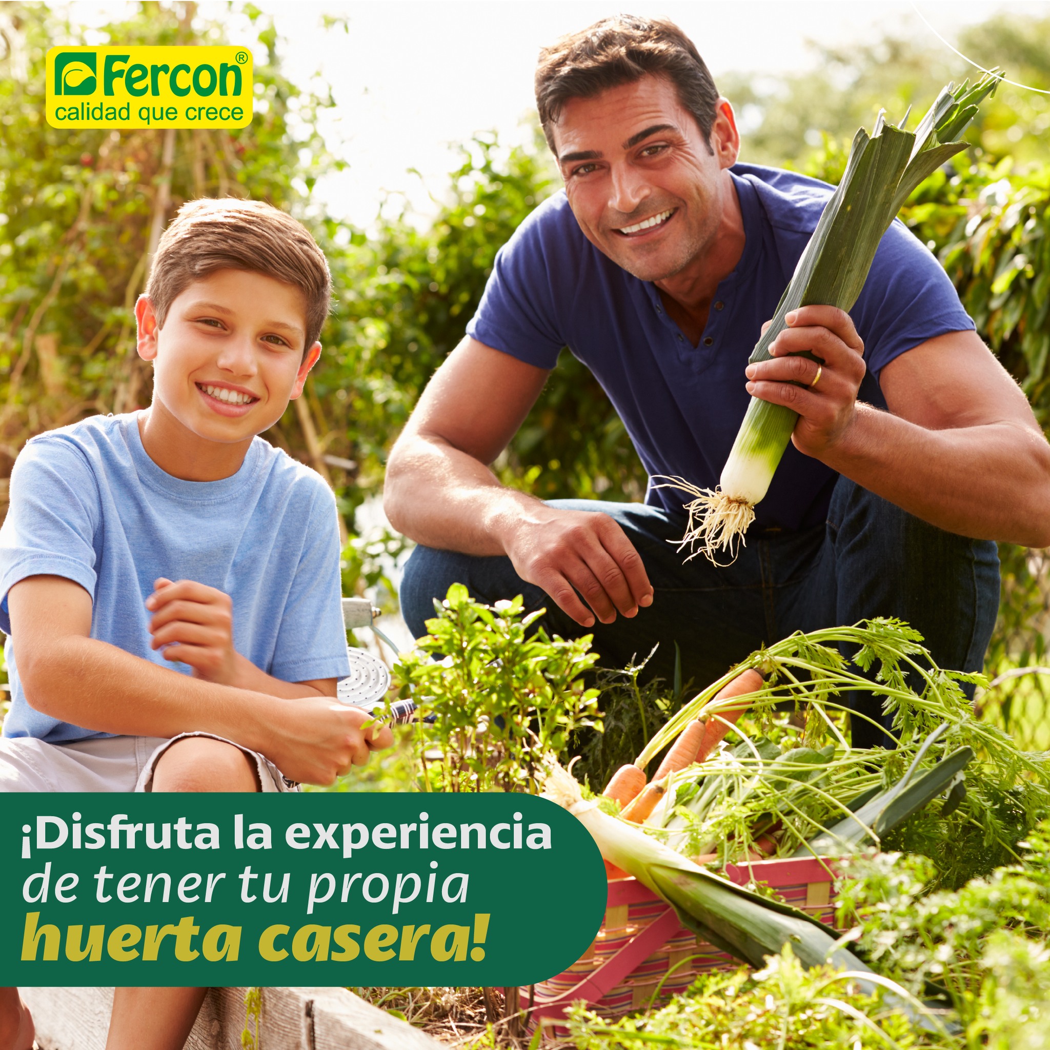 Fercon S.A. - ¿Sabías que las hortalizas son ricas en...