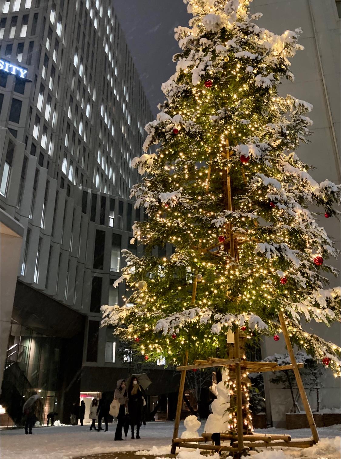 久しぶりに雪の四谷キャンパスです。シンボルツリーの下には☃️も。