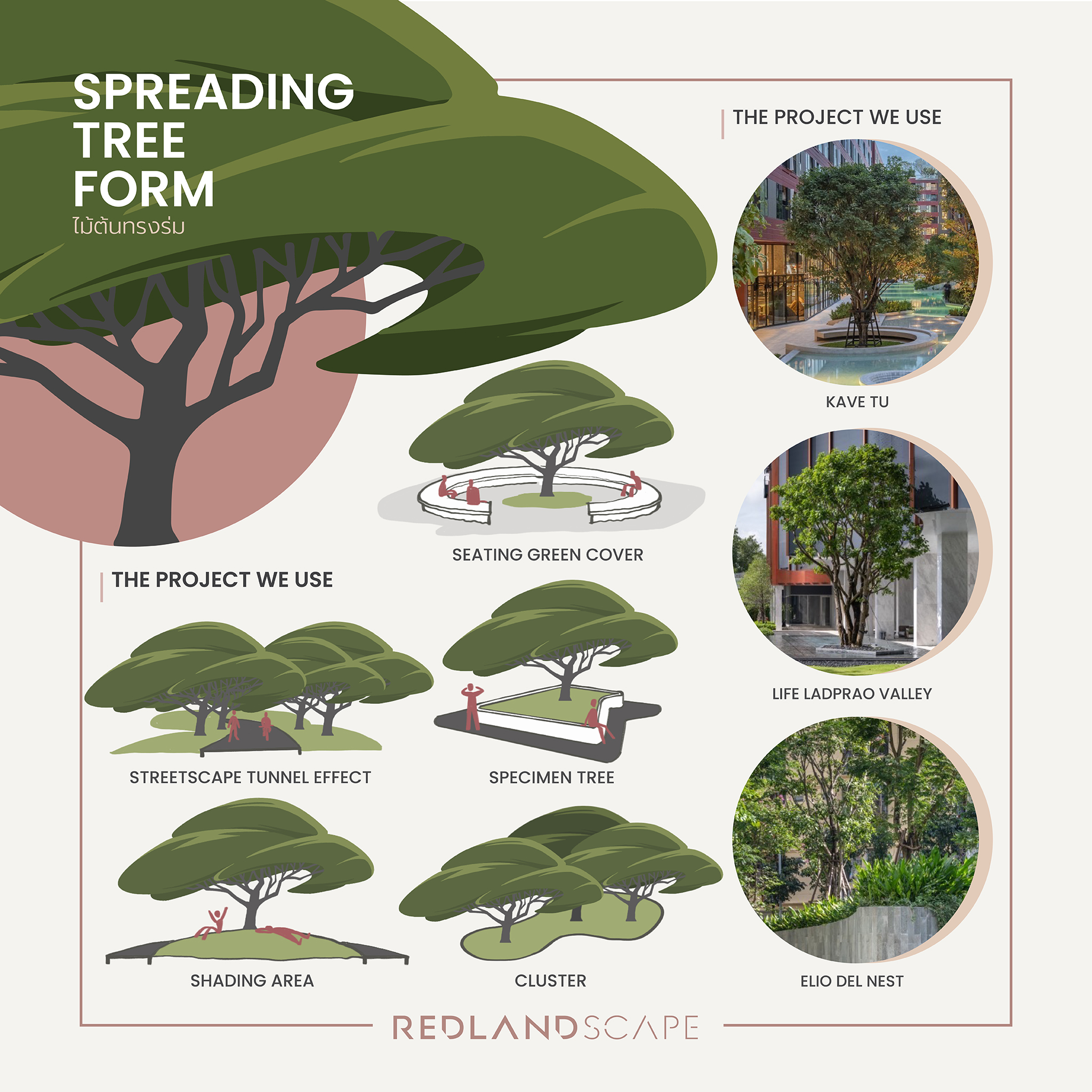 Redland-scape - TREE FORM in LANDSCAPE DESIGN & how we use... | Facebook