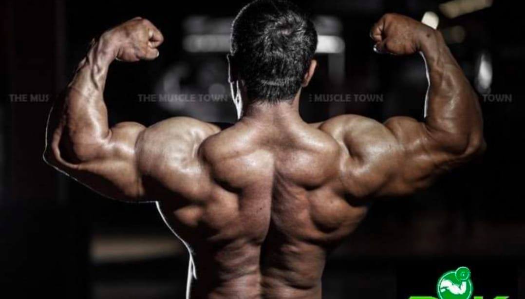 Best Bodybuilders of World