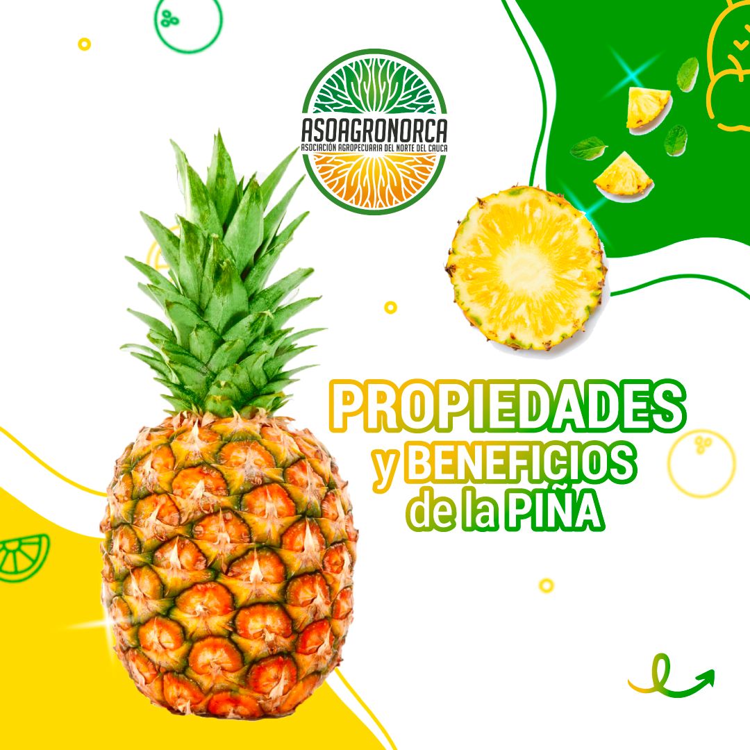 Asoagronorca - 🍍 La piña es una fruta tropical baja en...