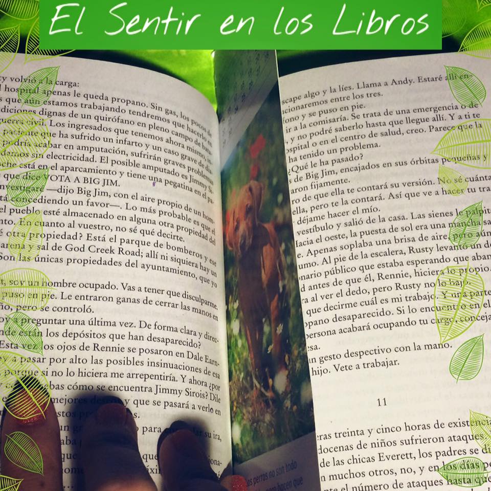 El Sentir en los Libros