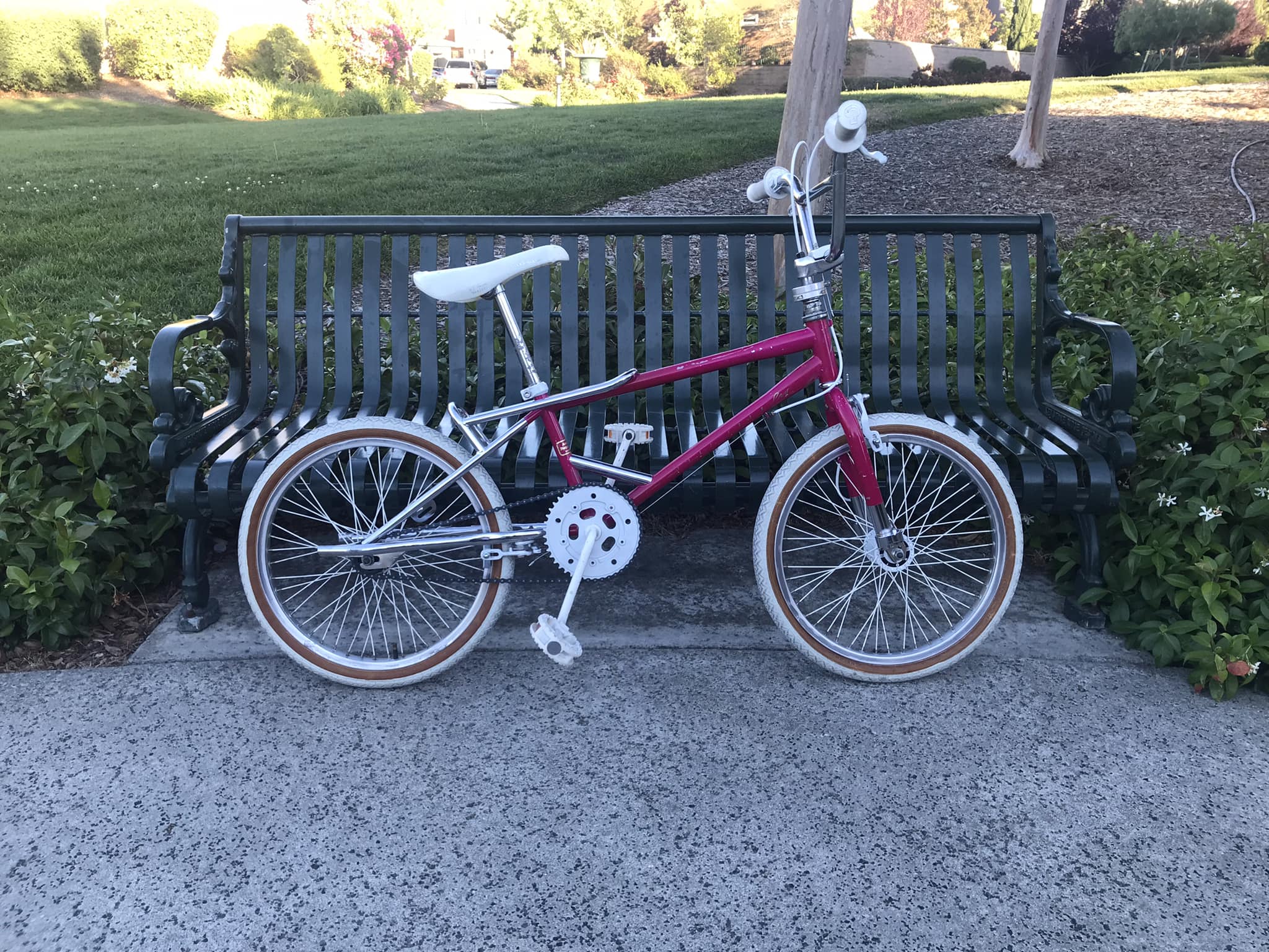 Finally got my cables and and took the 87 schwinn free form pro on