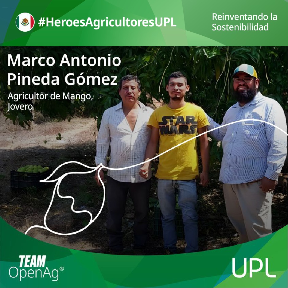 UPL - Piensa en México y piensa en salsa. La calidad de Marco Antonio ...