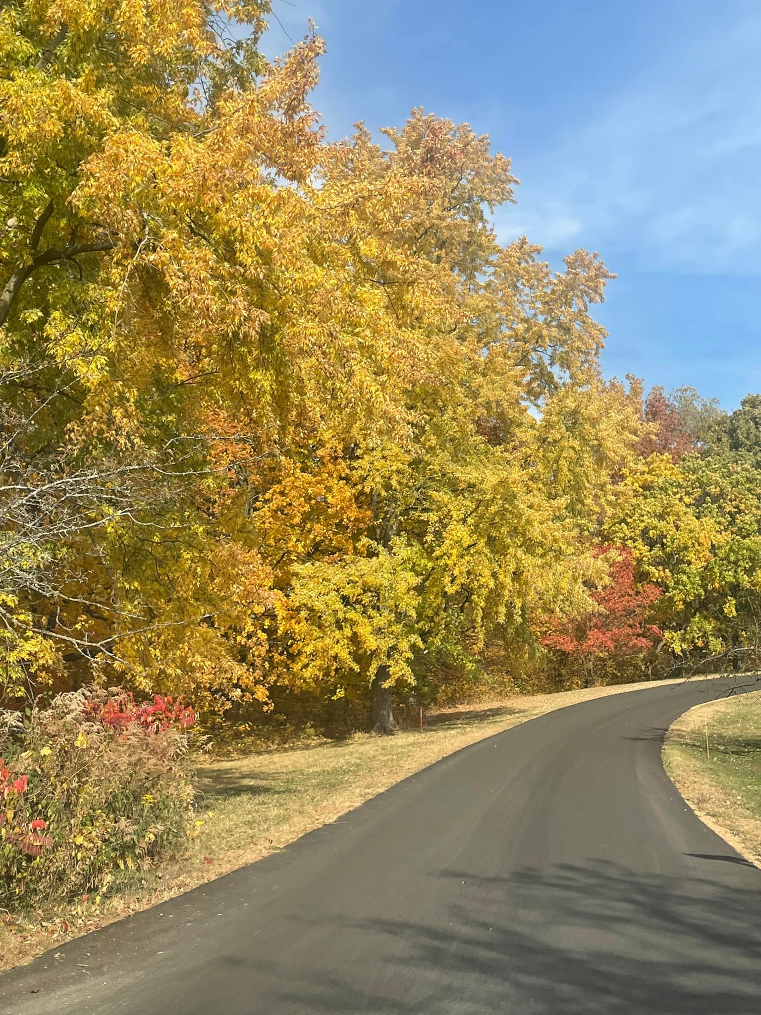 View from my window on the first day of Fall in Minnetonka 