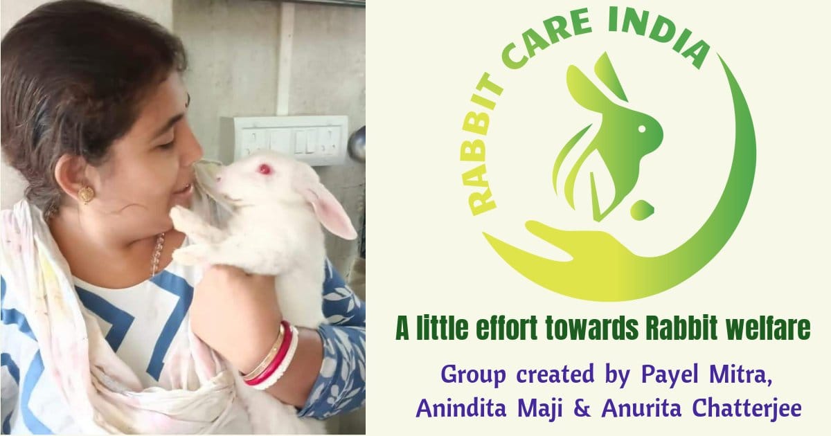 Rabbit Care India | Srirampur