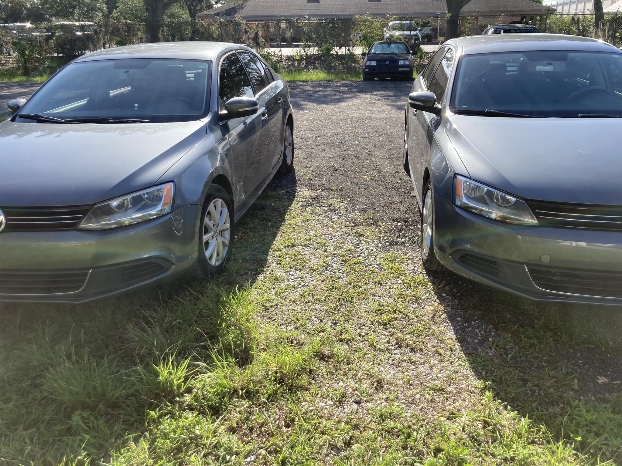 Jason's Bug Ranch | Winter Garden FL