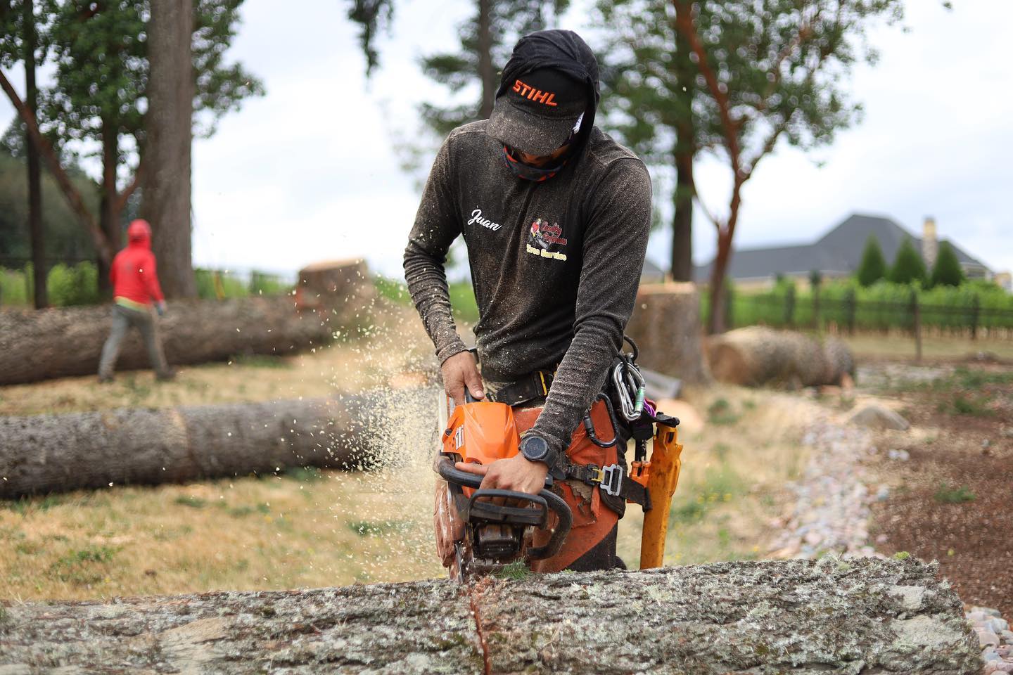 We specialize in... - Quality Performance Tree Service,LLC