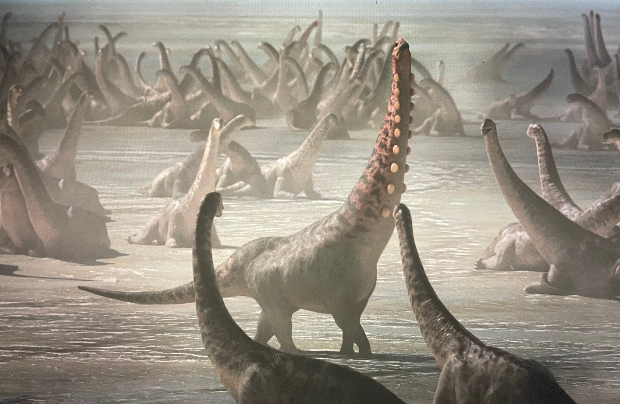 bracheosaurus in a fisher's net 2005 Brachiosaurus and Other Big Long-Necked Dinosaurs: The Need-to-Now Facts (Dinosaur Fact Dig): Rissman, Rebecca: 9781491496541 Books Jurassic World Legacy Collection 34"