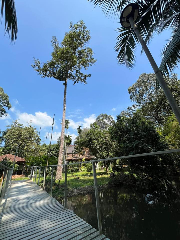 สวนสมพร นครนายก Homestay บ้านพักริมลำธาร Suan Sompon Nakonnayok