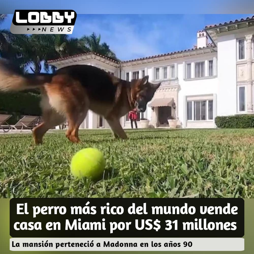 LOBBY magazine - El perro más rico del mundo, un pastor...