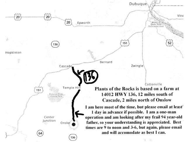 Plants of the Rocks | Onslow IA