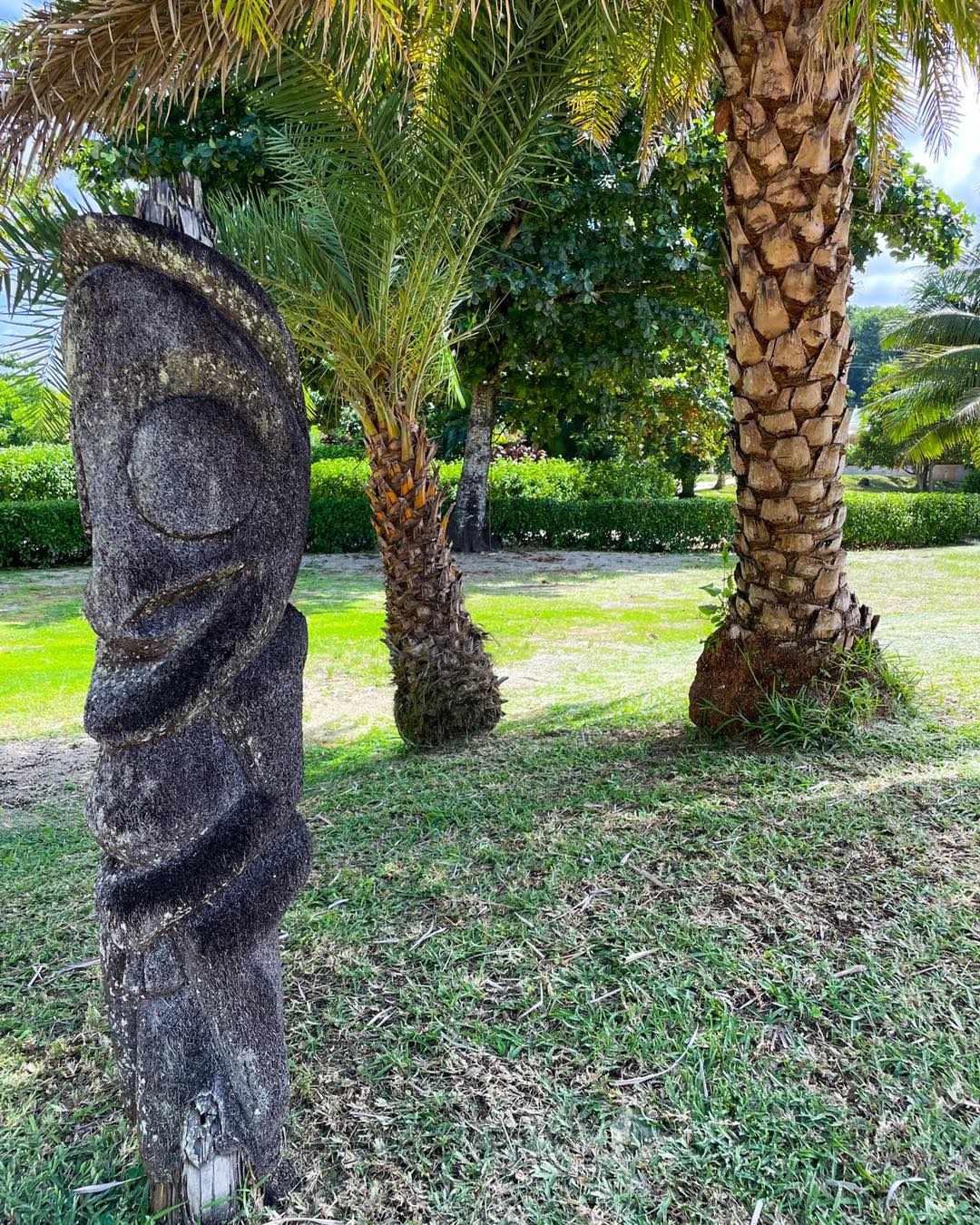 Vanuatu【Tam tam】バヌアツ 木彫り 打楽器 オブジェ 原始美術 【公式