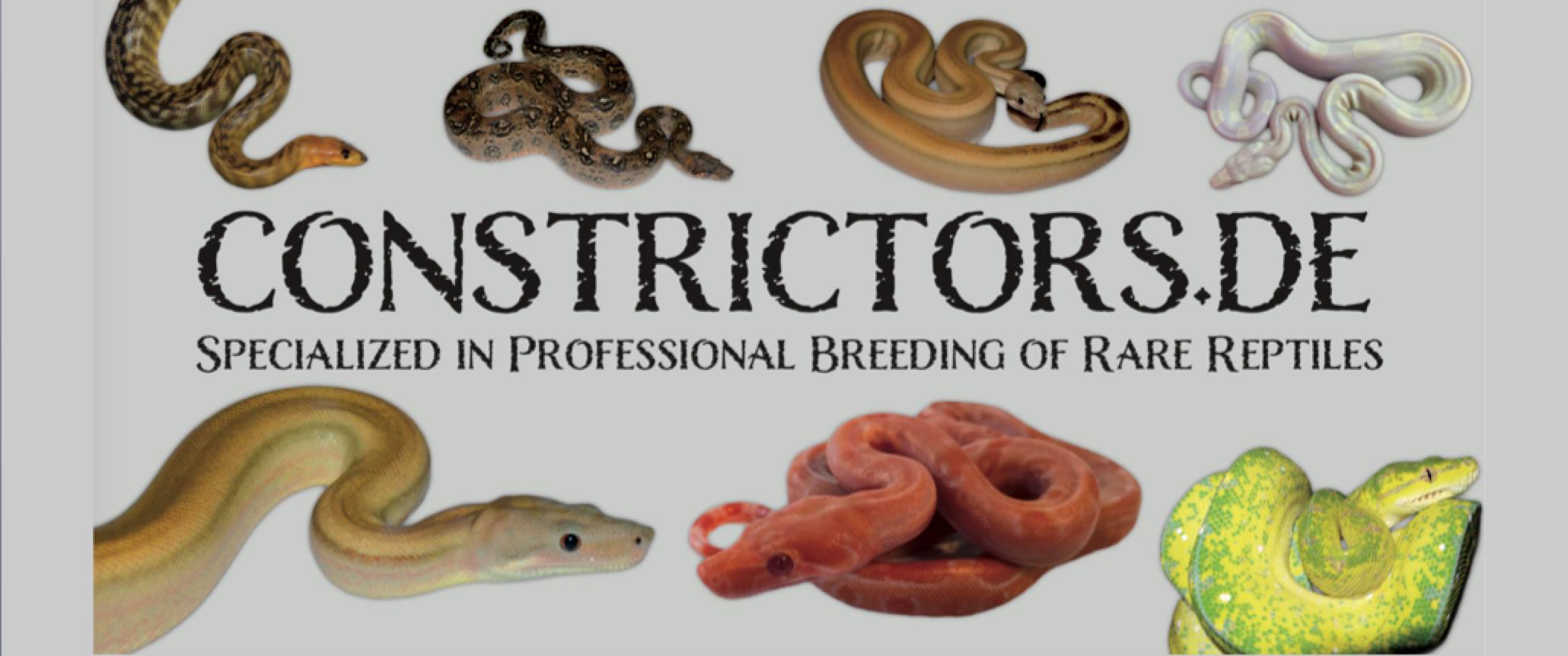 Constrictors.de | Salzgitter