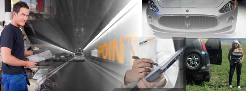 autoPOINT.