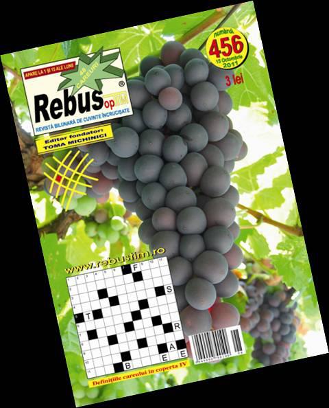Rebus TIM