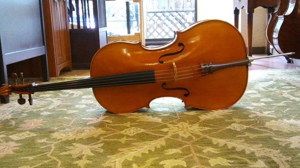 Stephanie Knapper Cellist