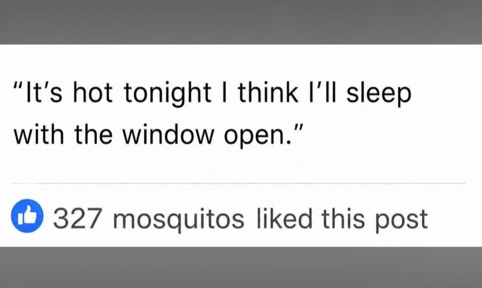 Kay - 😂😂😂😂 #summer #vibes #tonight #sleep | Facebook