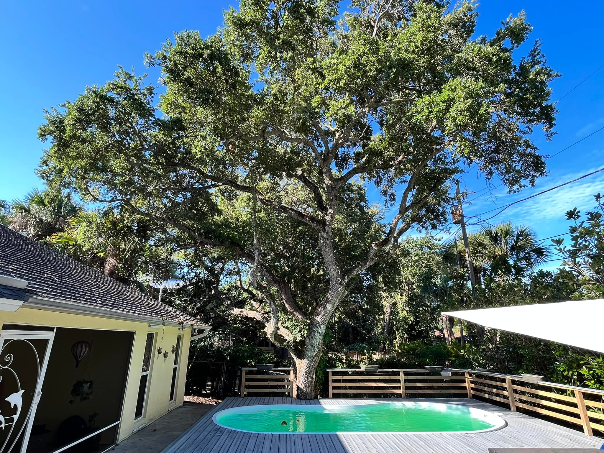 Integrity Tree