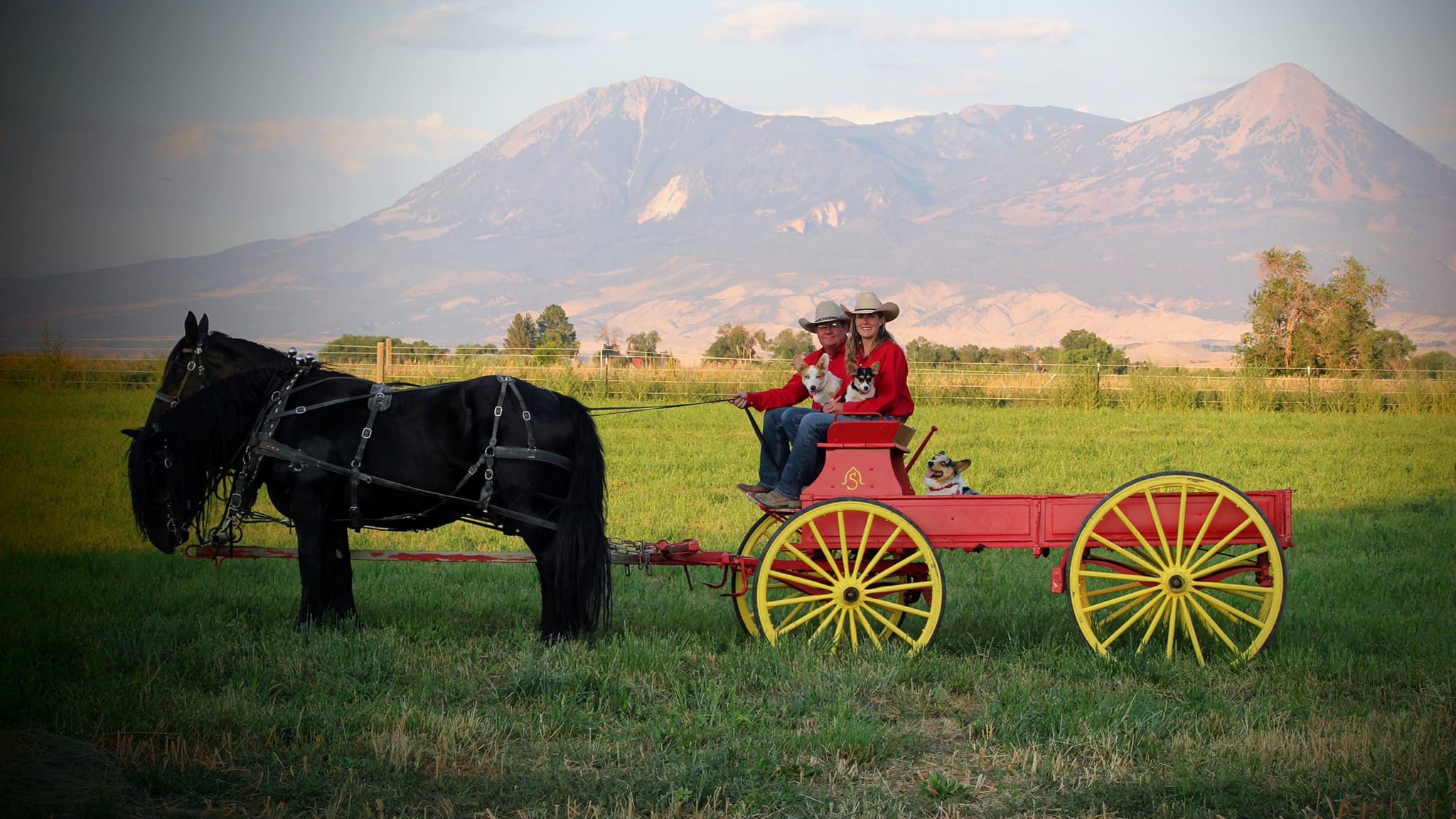 Bell S Ranch