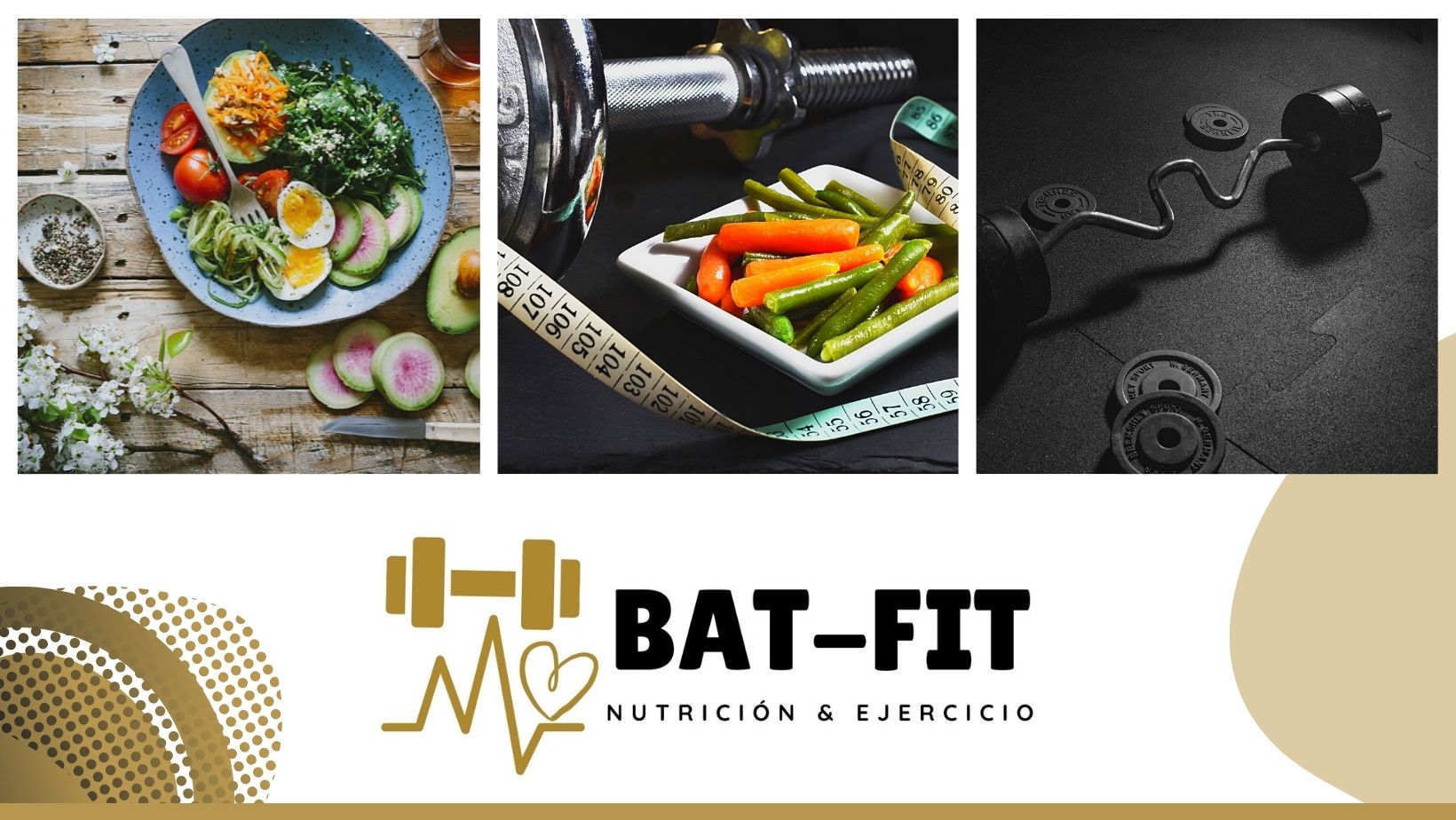 BAT-FIT | Hermosillo