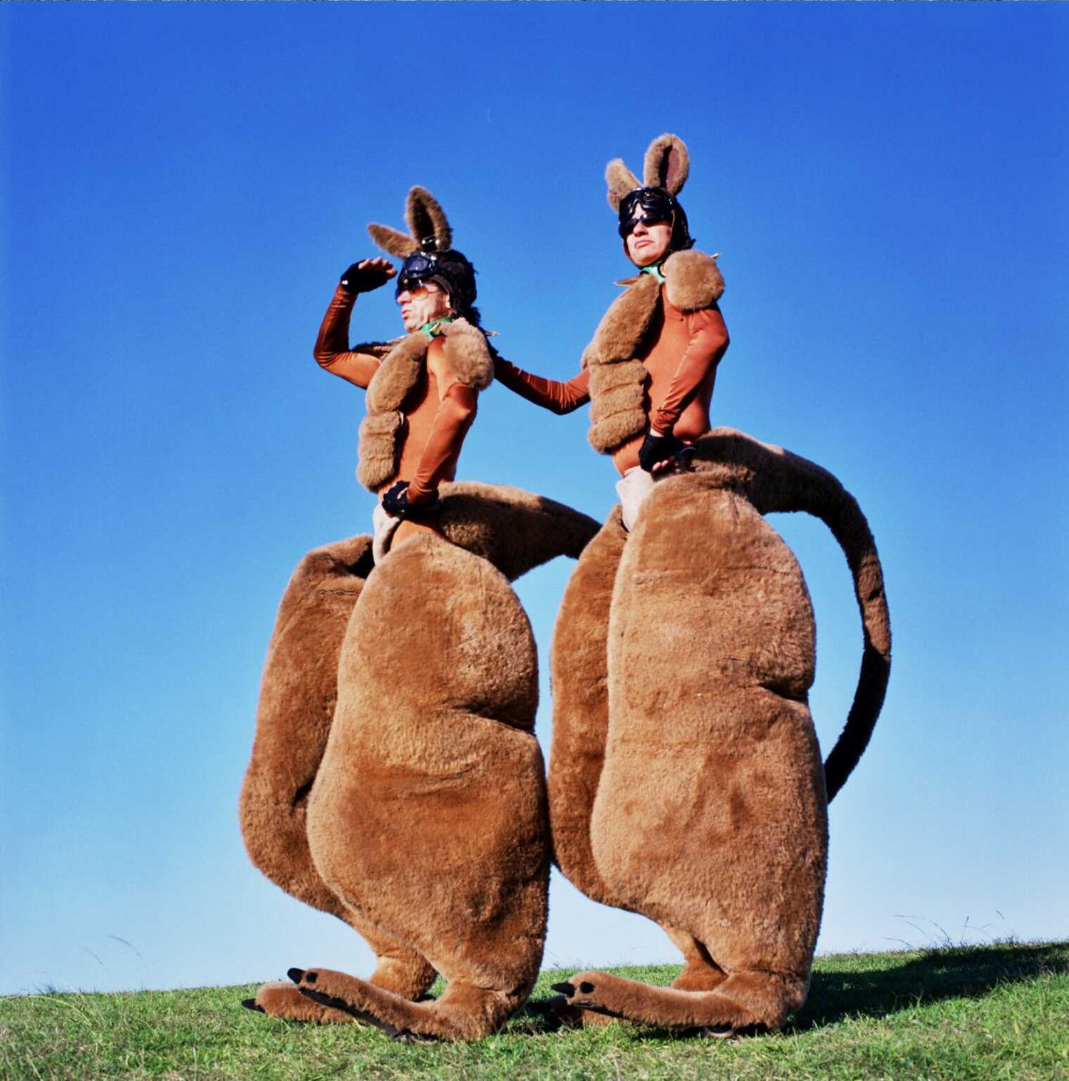 Big Splash - 🌟 Introducing... Roo'd 🌟 Giant kangaroos on...