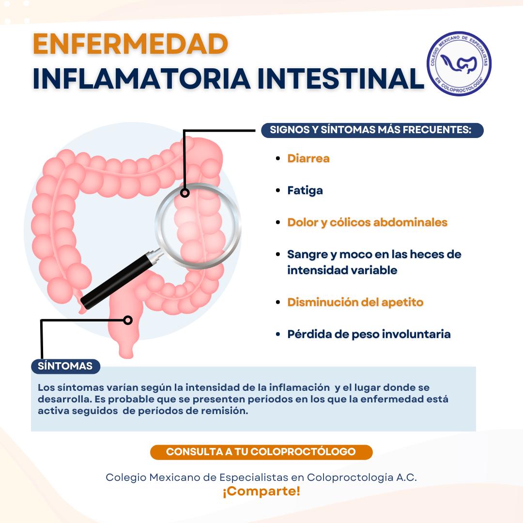 🚨 ¡Atención a los Síntomas! 🚨 La Enfermedad Inflamatoria Intestinal ...