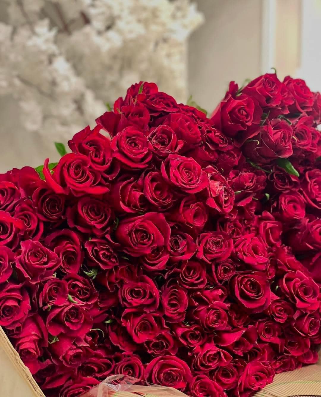 توحمت ليبيا ع العسل فأنجبت... - يوميات زنتاني وزنتانية