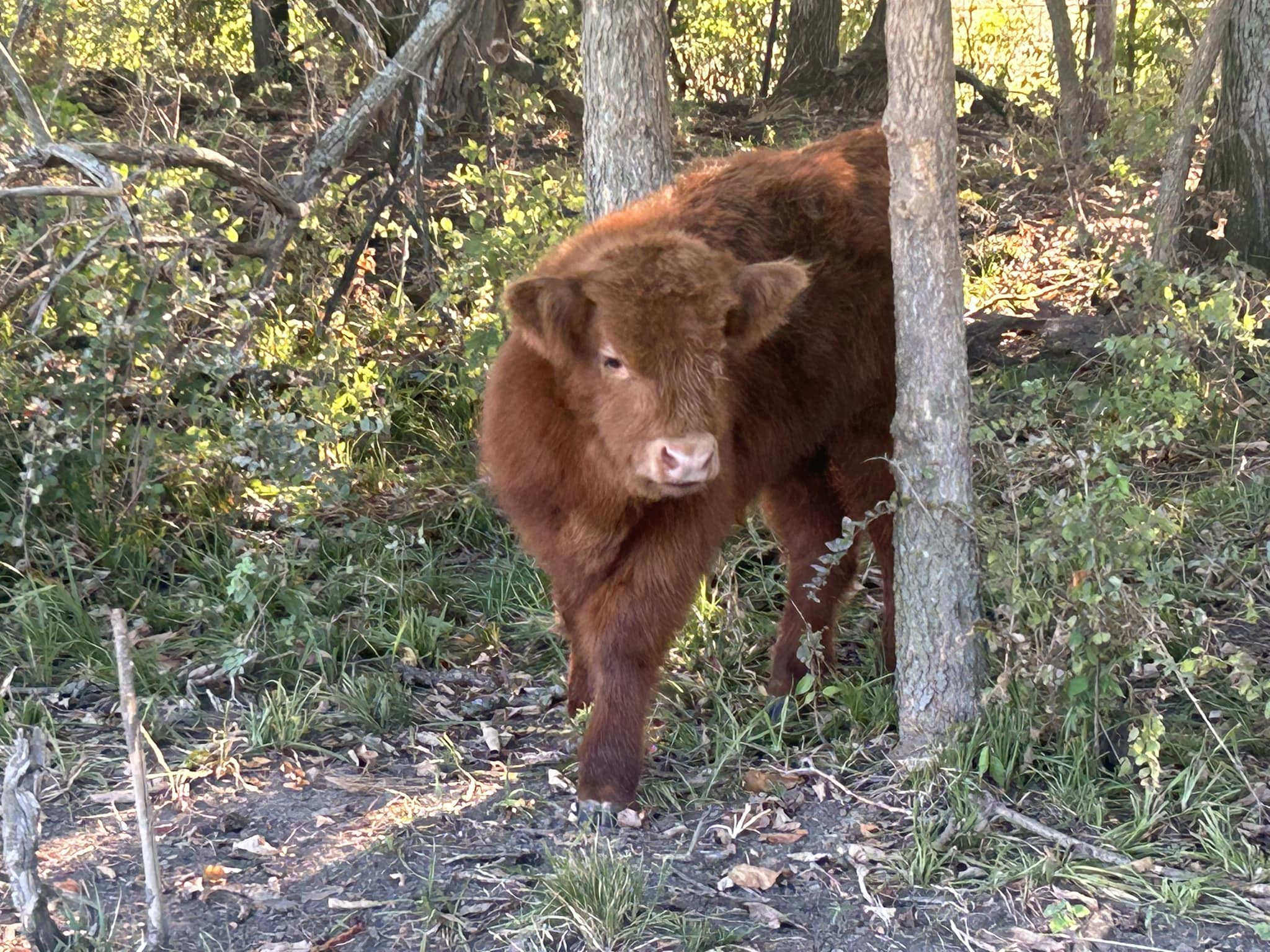 Triple R Family Farm