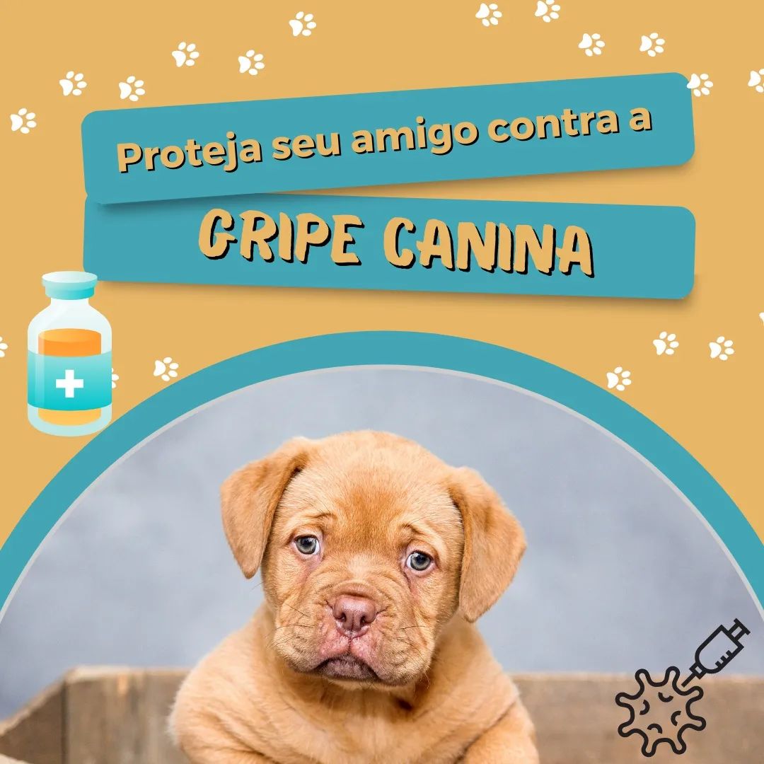 Rumar Agroveterinária - Você sabia que existe uma vacina para proteger ...