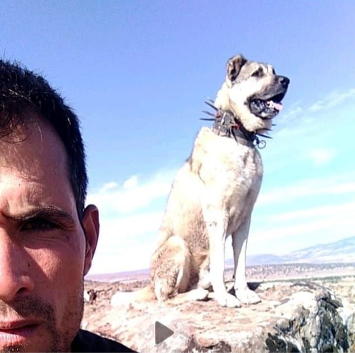s-r-n-n-i-inde-bir-aslan-var-ali-nar