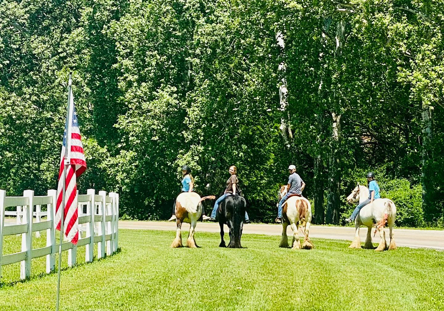 Shady Spring Stables