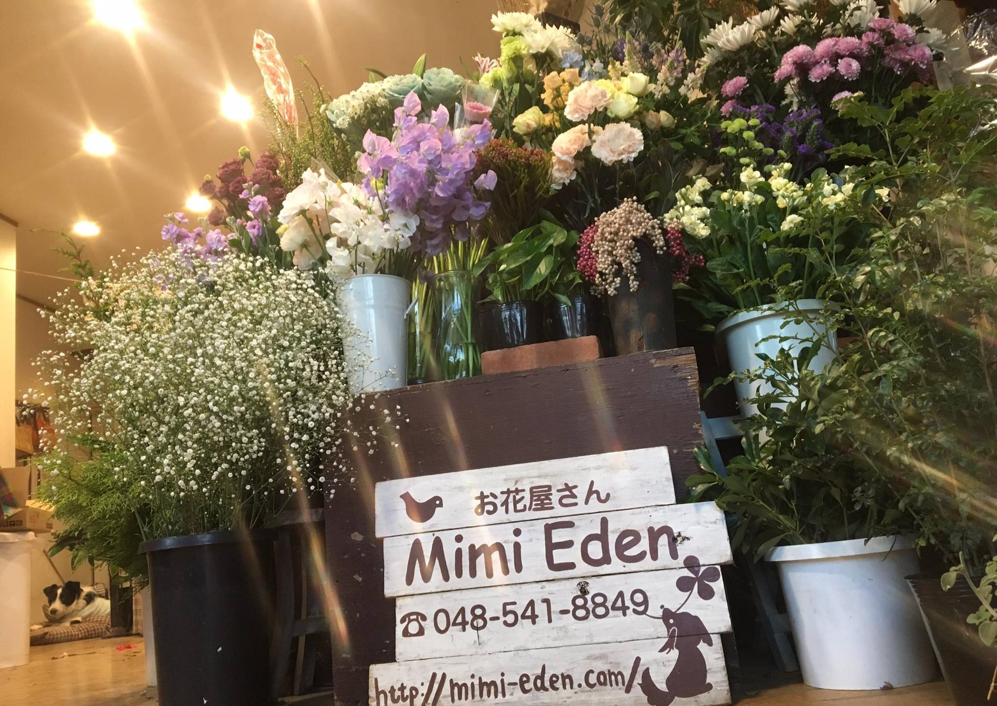 Florist Mimi Eden Konosu Shi Saitama