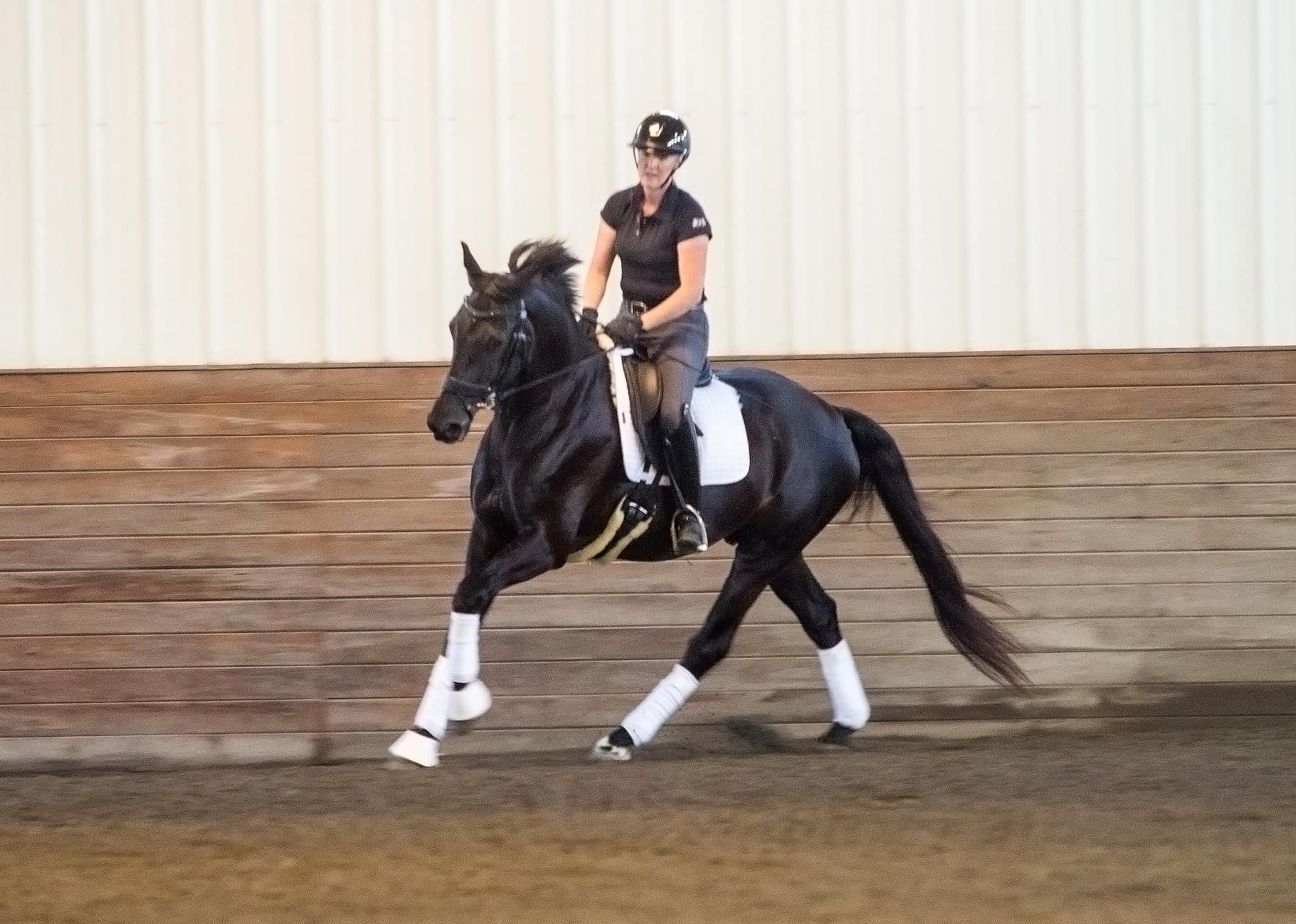 Becky Rutkowski Dressage