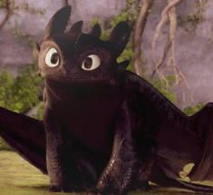 Toothless (Night Fury)