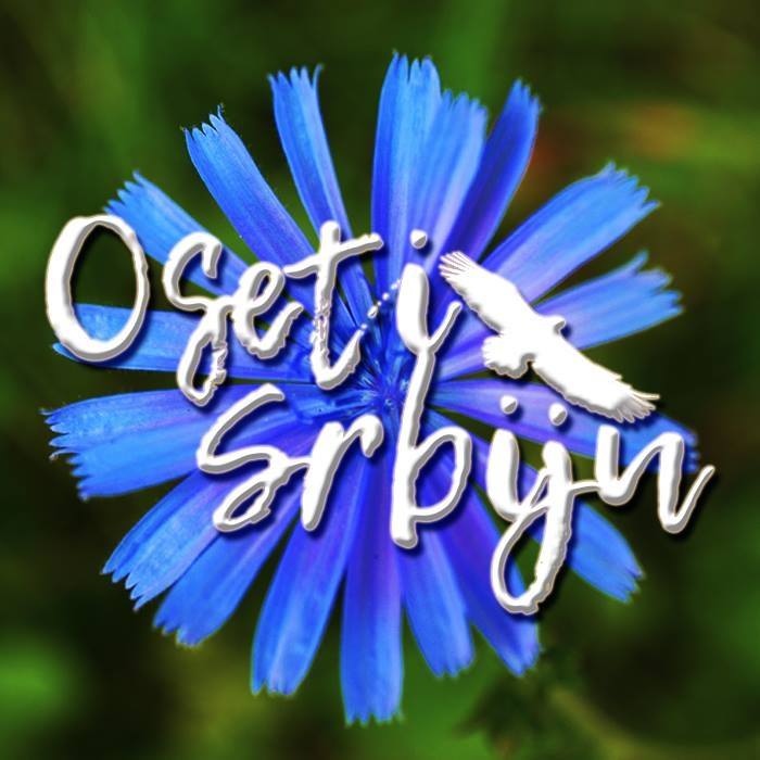 Oseti Srbiju