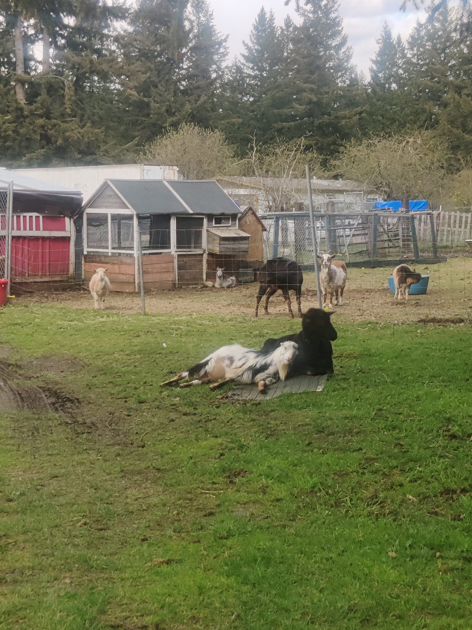 Rusty Reins Ranch
