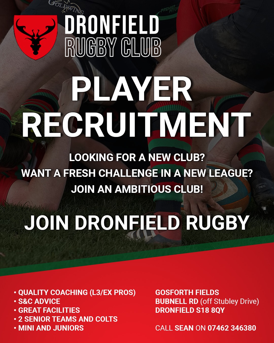 Dronfield Rugby Club - Home