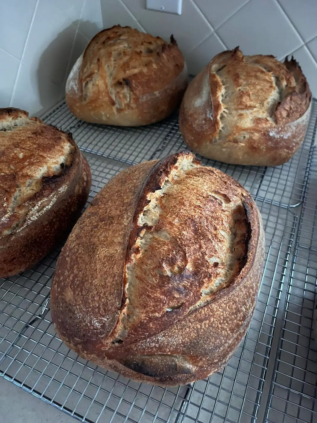 Tiny Oven Baking Co. | Dodge City KS