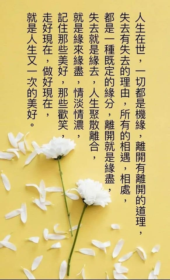 靜思語 - 世間一切事物、 一切現象都依賴各種因緣， 念念生滅，沒有什麼是完全孤立、自給自足的。 | Facebook
