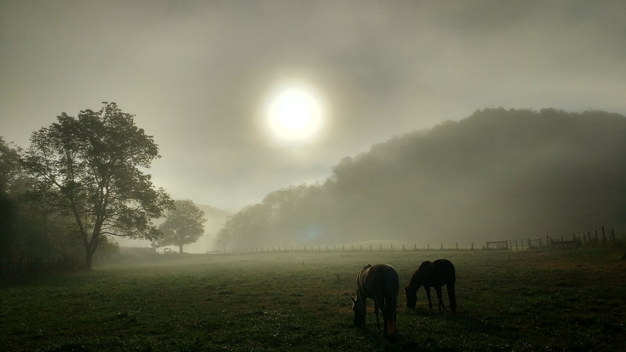 C B Ranch | Lewisburg WV
